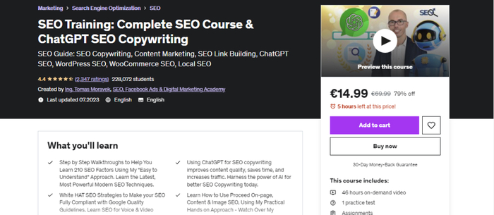 SEO training course on Udemy