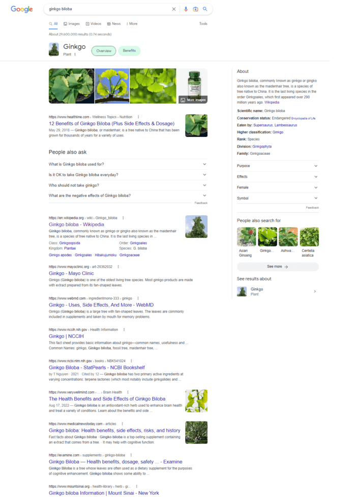 SERP example